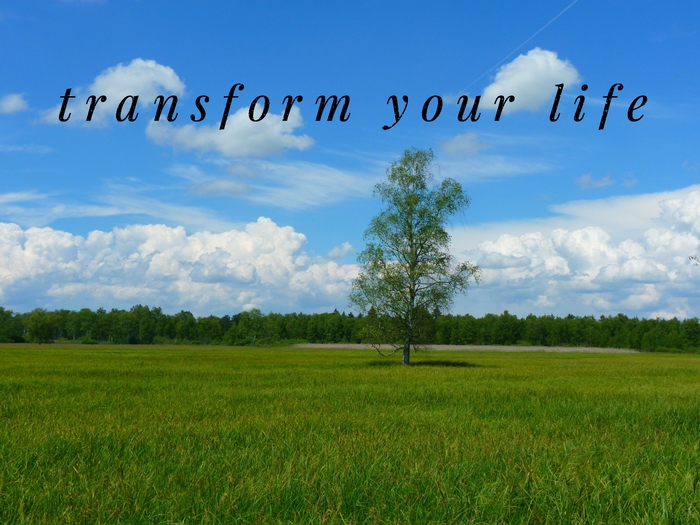 Tranform your life